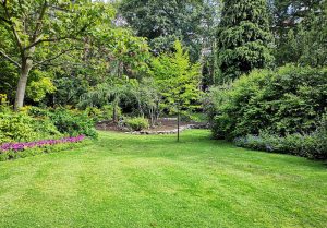 Optimiser l'expérience du jardin à Bouchavesnes-Bergen